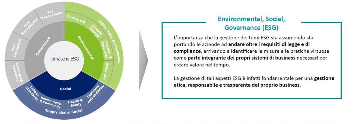 img esg articolo innovery