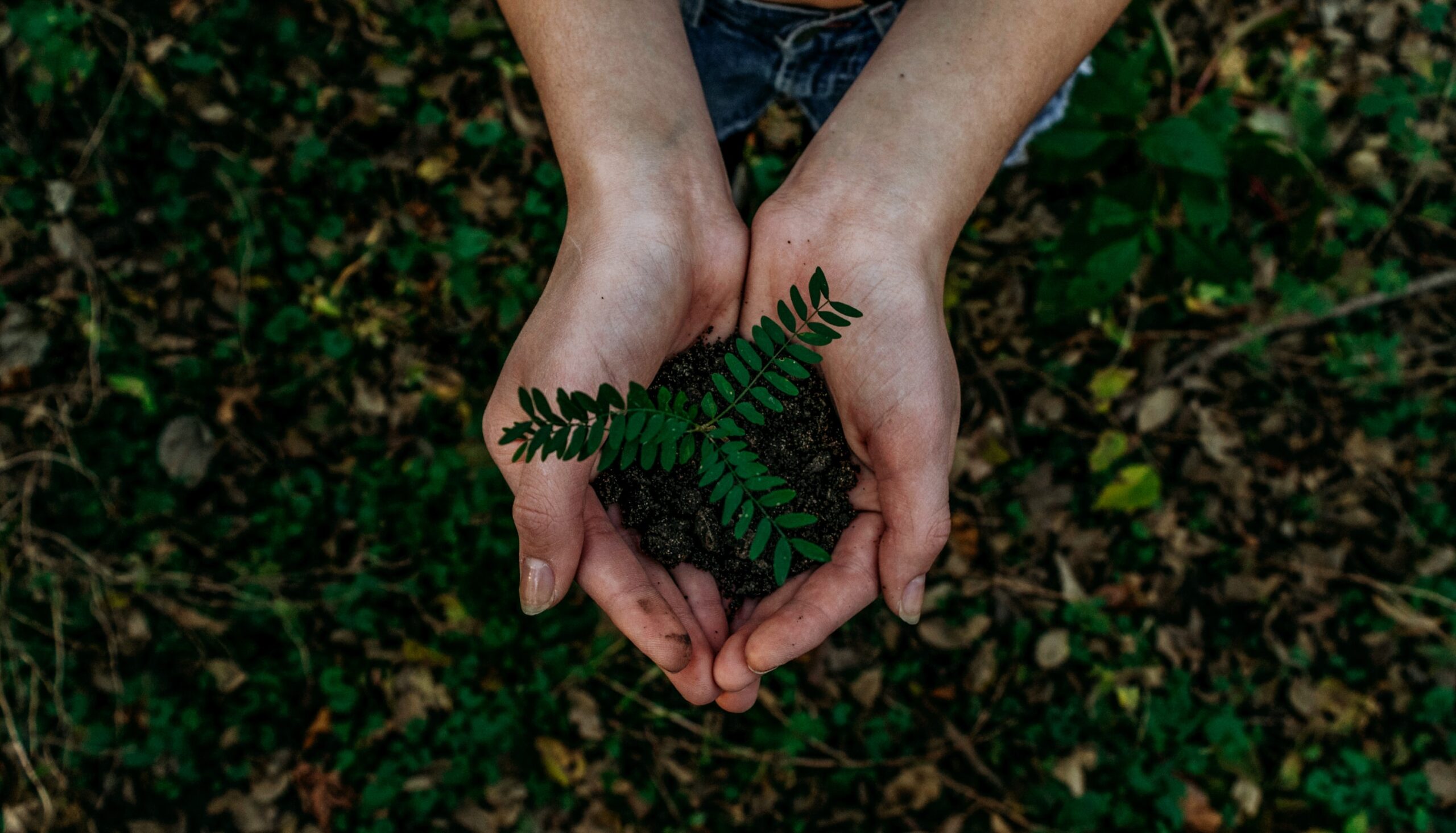 Soluciones - B2B y sostenibilidad - Criterios ESG1